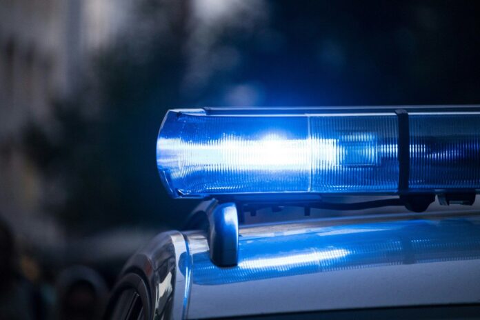 Austrijos policija (nuotr. Unsplash)