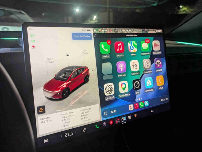 „Tesla“ automobilio ekranas (nuotr. X)